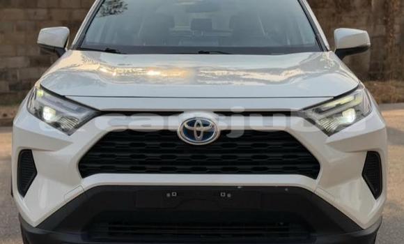 Buy Used Toyota RAV4 White Car in Juba in South Sudan