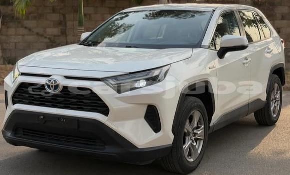 اشتري مستعمل Toyota RAV4 White سيارة في Juba في South Sudan اشتري مستعمل Toyota RAV4 White سيارة في Juba في South Sudan
