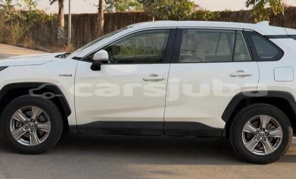 اشتري مستعمل Toyota RAV4 White سيارة في Juba في South Sudan اشتري مستعمل Toyota RAV4 White سيارة في Juba في South Sudan