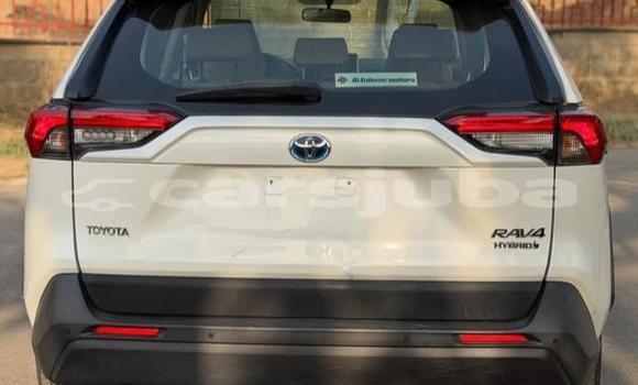 اشتري مستعمل Toyota RAV4 White سيارة في Juba في South Sudan اشتري مستعمل Toyota RAV4 White سيارة في Juba في South Sudan