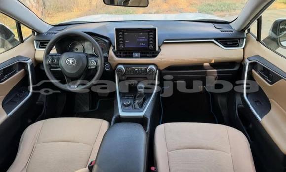 اشتري مستعمل Toyota RAV4 White سيارة في Juba في South Sudan اشتري مستعمل Toyota RAV4 White سيارة في Juba في South Sudan
