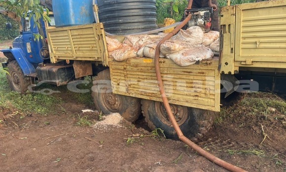 Nunua Ilio tumika Iveco Cargo Blue Lori ndani ya Juba nchini South Sudan Nunua Ilio tumika Iveco Cargo Blue Lori ndani ya Juba nchini South Sudan