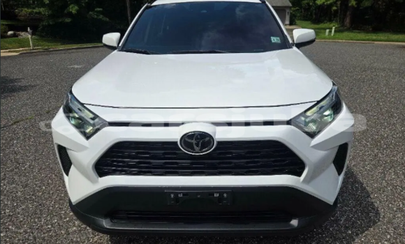 Buy Used Toyota RAV4 White Car in Malakal in South Sudan
