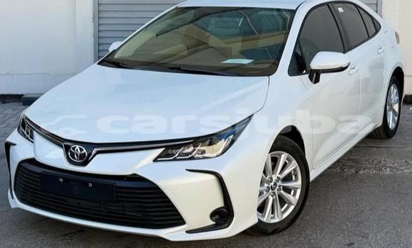 Buy Used Toyota Corolla White Car in Juba in South Sudan