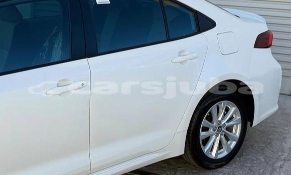 Buy Used Toyota Corolla White Car in Juba in South Sudan Buy Used Toyota Corolla White Car in Juba in South Sudan