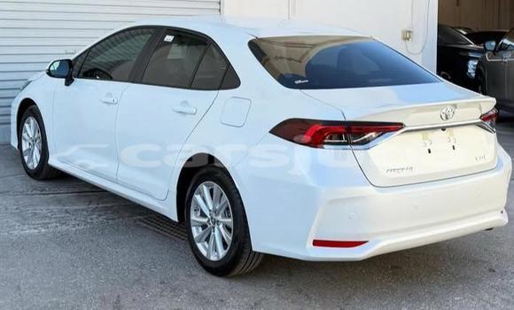 Buy Used Toyota Corolla White Car in Juba in South Sudan Buy Used Toyota Corolla White Car in Juba in South Sudan