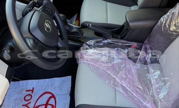 Buy Used Toyota Corolla White Car in Juba in South Sudan Buy Used Toyota Corolla White Car in Juba in South Sudan