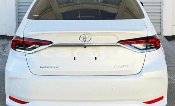 Buy Used Toyota Corolla White Car in Juba in South Sudan Buy Used Toyota Corolla White Car in Juba in South Sudan