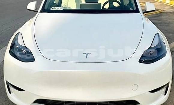 Buy Used Tesla Model X White Car in Juba in South Sudan