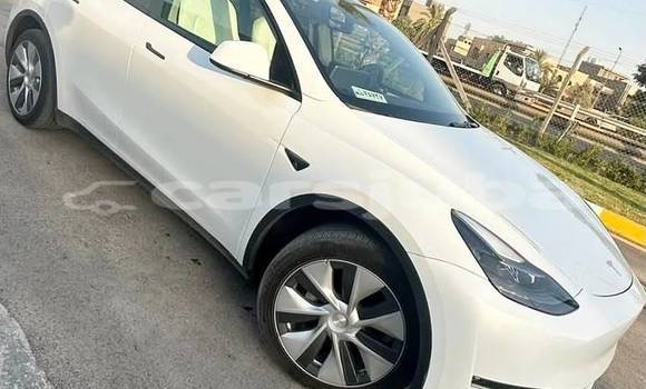 Buy Used Tesla Model X White Car in Juba in South Sudan Buy Used Tesla Model X White Car in Juba in South Sudan