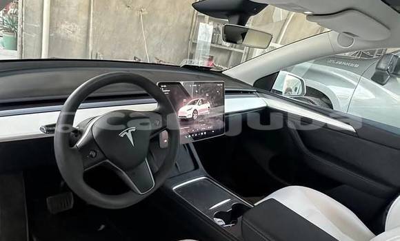 Buy Used Tesla Model X White Car in Juba in South Sudan Buy Used Tesla Model X White Car in Juba in South Sudan