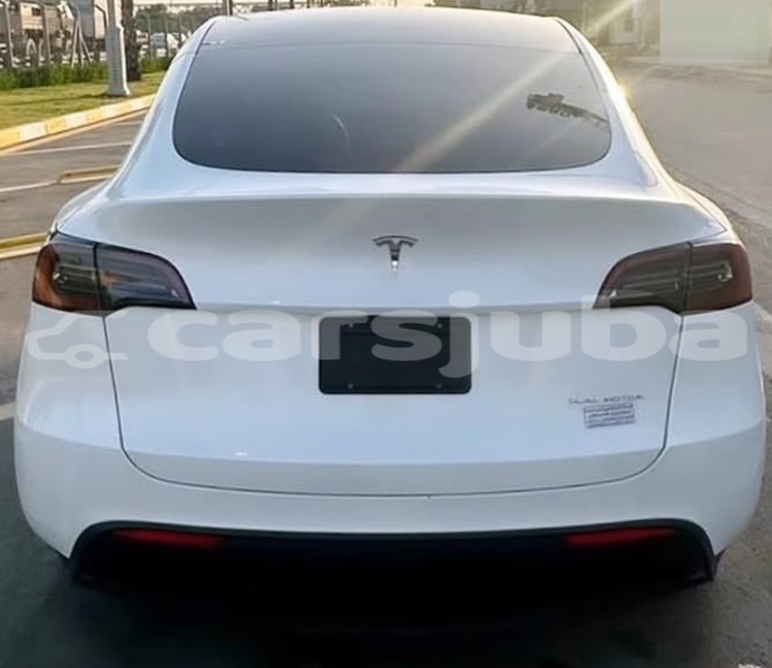 Big with watermark tesla model x south sudan juba 871