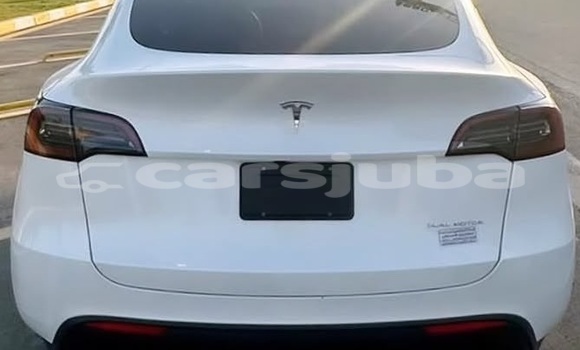 Buy Used Tesla Model X White Car in Juba in South Sudan Buy Used Tesla Model X White Car in Juba in South Sudan