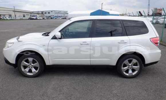 اشتري مستعمل Subaru Forester White سيارة في Juba في South Sudan اشتري مستعمل Subaru Forester White سيارة في Juba في South Sudan