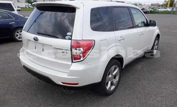 اشتري مستعمل Subaru Forester White سيارة في Juba في South Sudan اشتري مستعمل Subaru Forester White سيارة في Juba في South Sudan