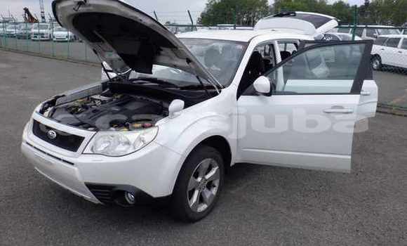 اشتري مستعمل Subaru Forester White سيارة في Juba في South Sudan اشتري مستعمل Subaru Forester White سيارة في Juba في South Sudan