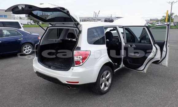 اشتري مستعمل Subaru Forester White سيارة في Juba في South Sudan اشتري مستعمل Subaru Forester White سيارة في Juba في South Sudan