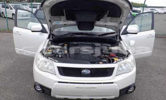 اشتري مستعمل Subaru Forester White سيارة في Juba في South Sudan اشتري مستعمل Subaru Forester White سيارة في Juba في South Sudan