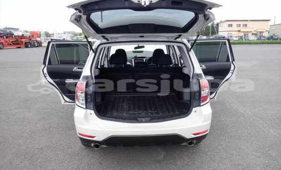 اشتري مستعمل Subaru Forester White سيارة في Juba في South Sudan اشتري مستعمل Subaru Forester White سيارة في Juba في South Sudan