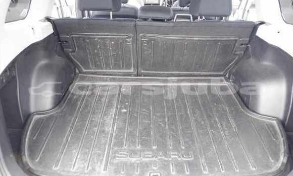 اشتري مستعمل Subaru Forester White سيارة في Juba في South Sudan اشتري مستعمل Subaru Forester White سيارة في Juba في South Sudan