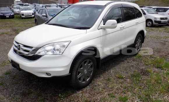 اشتري مستعمل Honda CR-V White سيارة في Juba في South Sudan اشتري مستعمل Honda CR-V White سيارة في Juba في South Sudan