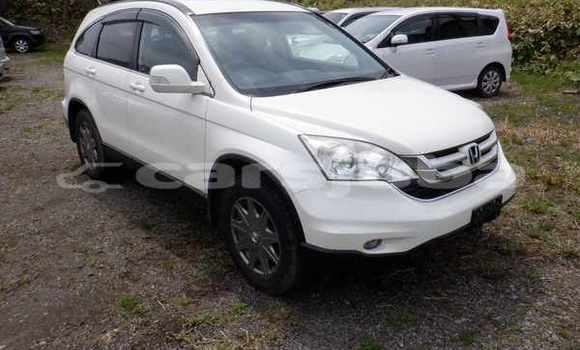 اشتري مستعمل Honda CR-V White سيارة في Juba في South Sudan اشتري مستعمل Honda CR-V White سيارة في Juba في South Sudan
