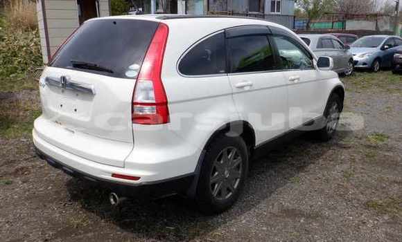 اشتري مستعمل Honda CR-V White سيارة في Juba في South Sudan اشتري مستعمل Honda CR-V White سيارة في Juba في South Sudan