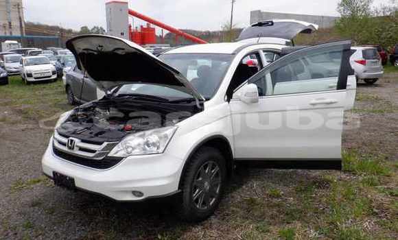 اشتري مستعمل Honda CR-V White سيارة في Juba في South Sudan اشتري مستعمل Honda CR-V White سيارة في Juba في South Sudan