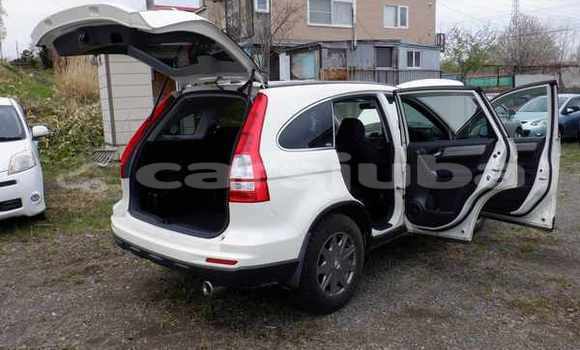 اشتري مستعمل Honda CR-V White سيارة في Juba في South Sudan اشتري مستعمل Honda CR-V White سيارة في Juba في South Sudan