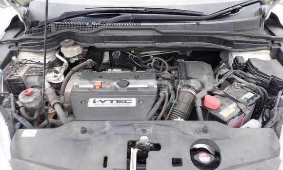 اشتري مستعمل Honda CR-V White سيارة في Juba في South Sudan اشتري مستعمل Honda CR-V White سيارة في Juba في South Sudan