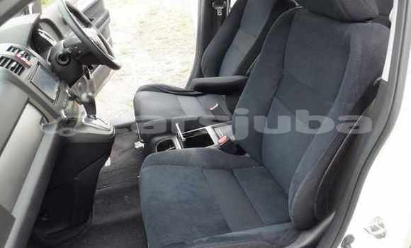 اشتري مستعمل Honda CR-V White سيارة في Juba في South Sudan اشتري مستعمل Honda CR-V White سيارة في Juba في South Sudan