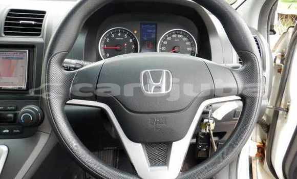 اشتري مستعمل Honda CR-V White سيارة في Juba في South Sudan اشتري مستعمل Honda CR-V White سيارة في Juba في South Sudan