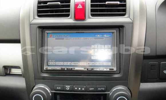 اشتري مستعمل Honda CR-V White سيارة في Juba في South Sudan اشتري مستعمل Honda CR-V White سيارة في Juba في South Sudan