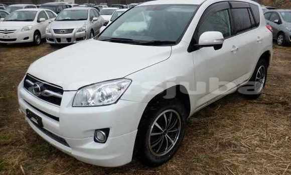 Buy Used Toyota RAV 4 White Car in Juba in South Sudan