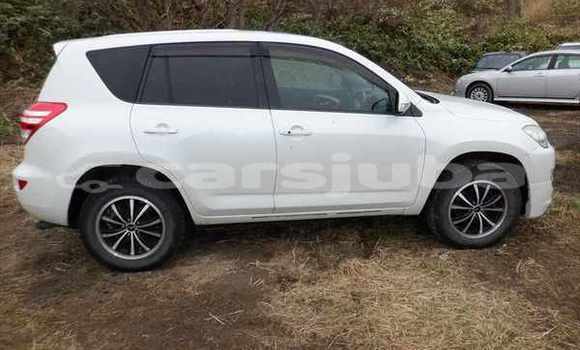 اشتري مستعمل Toyota RAV 4 White سيارة في Juba في South Sudan اشتري مستعمل Toyota RAV 4 White سيارة في Juba في South Sudan