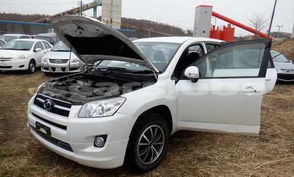 اشتري مستعمل Toyota RAV 4 White سيارة في Juba في South Sudan اشتري مستعمل Toyota RAV 4 White سيارة في Juba في South Sudan