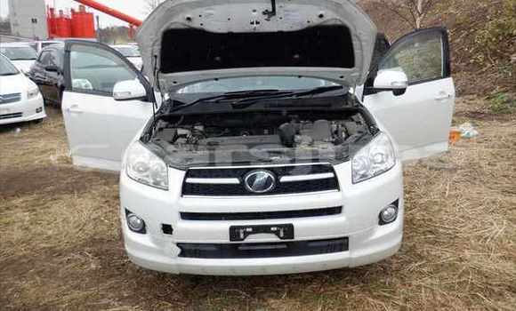 اشتري مستعمل Toyota RAV 4 White سيارة في Juba في South Sudan اشتري مستعمل Toyota RAV 4 White سيارة في Juba في South Sudan