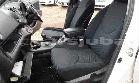 اشتري مستعمل Toyota RAV 4 White سيارة في Juba في South Sudan اشتري مستعمل Toyota RAV 4 White سيارة في Juba في South Sudan
