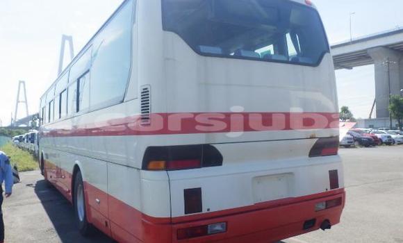 Buy Used Mitsubishi Van Red Truck in Yei in South Sudan Buy Used Mitsubishi Van Red Truck in Yei in South Sudan