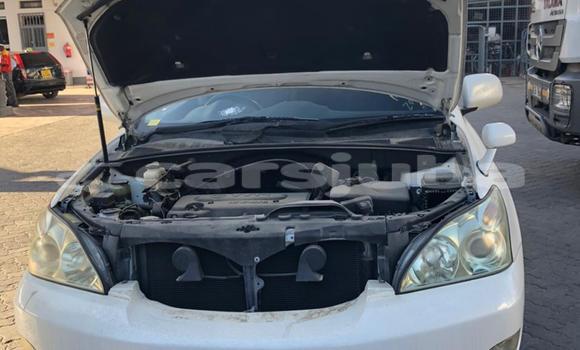 اشتري مستعمل Toyota Harrier White سيارة في Juba في South Sudan اشتري مستعمل Toyota Harrier White سيارة في Juba في South Sudan