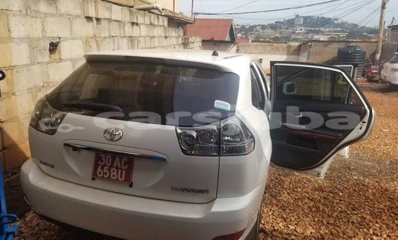 اشتري مستعمل Toyota Harrier White سيارة في Juba في South Sudan اشتري مستعمل Toyota Harrier White سيارة في Juba في South Sudan