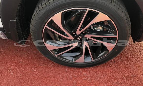 Buy New Hyundai Tucson White Car in Juba in South Sudan Buy New Hyundai Tucson White Car in Juba in South Sudan