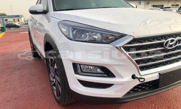 Buy New Hyundai Tucson White Car in Juba in South Sudan Buy New Hyundai Tucson White Car in Juba in South Sudan