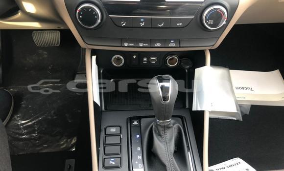 Buy New Hyundai Tucson White Car in Juba in South Sudan Buy New Hyundai Tucson White Car in Juba in South Sudan