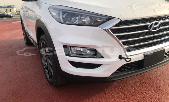 Buy New Hyundai Tucson White Car in Juba in South Sudan Buy New Hyundai Tucson White Car in Juba in South Sudan