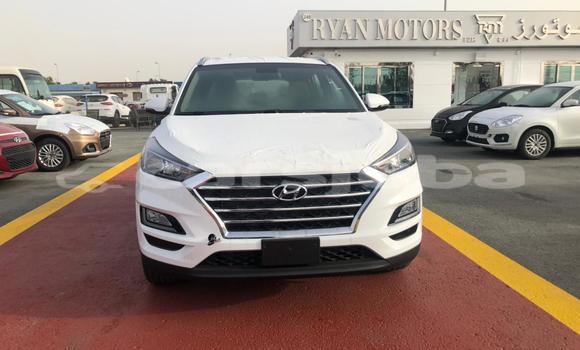Buy New Hyundai Tucson White Car in Juba in South Sudan Buy New Hyundai Tucson White Car in Juba in South Sudan