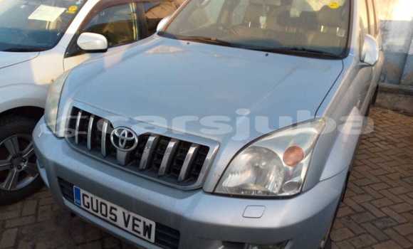 Buy Import Toyota Land Cruiser Prado Silver Car in Juba in South Sudan