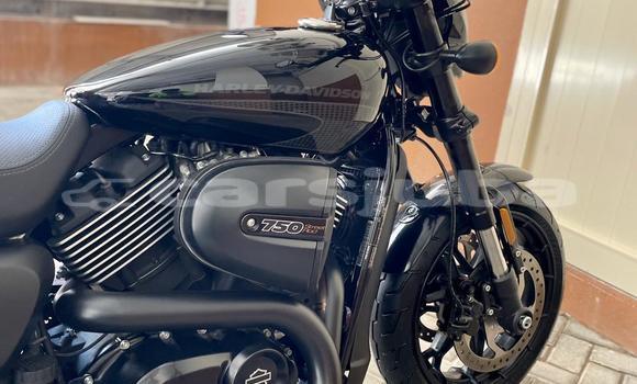 اشتري مستعمل Harley Davidson Street Black دراجة نارية في Juba في South Sudan اشتري مستعمل Harley Davidson Street Black دراجة نارية في Juba في South Sudan