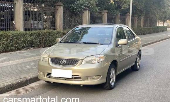 Buy Used Toyota Vios Silver Car in Aweil in South Sudan