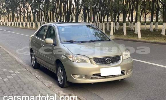 Buy Used Toyota Vios Silver Car in Aweil in South Sudan Buy Used Toyota Vios Silver Car in Aweil in South Sudan